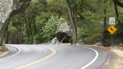 Yellow warning sign deer crossing, curve in woods, forest trees. Trip or roadtrip to Yosemite, Tioga road, California wildlife fauna, animals in USA. Ecotourism in wild nature or hitchhiking traveling