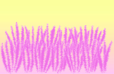 Pink muhly grass on yellow background.