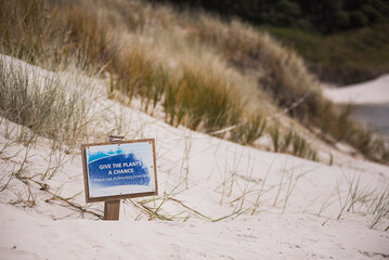 'Give the plants a chance' conservation sign at Rarawa Beach in Northland Region, North Island, New Zealand
