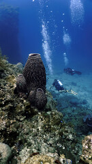 Beautiful coral reef and scuba divers