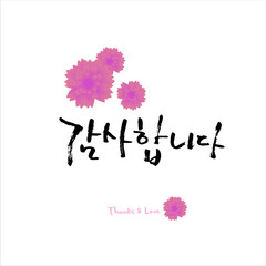 카네이션_감사합니다_캘리그라피