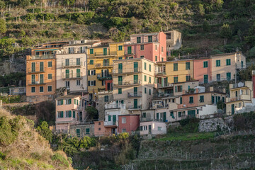 Obraz premium picturesque houses on green slope at Manarola, Italy