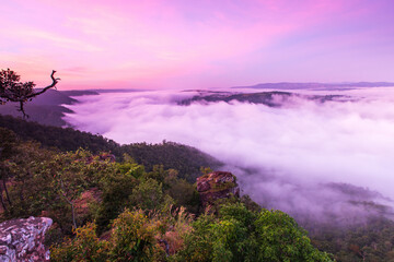 Obraz premium Phu-E-Lerd, Landscape sea of mist on the mountain border of Thailand and Laos, Loei province Thailand.