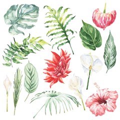 Watercolour set of tropical flowers and leaves on white . Watercolor illustration.