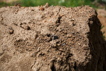 Soil texture. A layer of the earth deep into the close-up. Construction sand. Copy space. Rocky ground background. Soil fertility type. The concept of archaeological excavations. Rough surface.