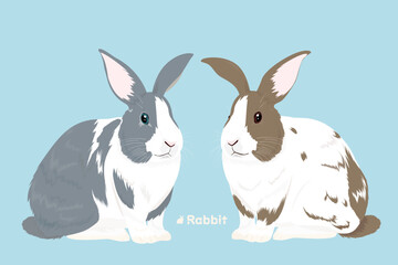 two rabbits
