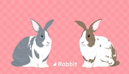 Rabbits