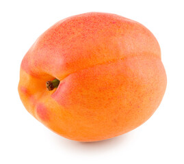 apricot fruit isolated on white background. clipping path