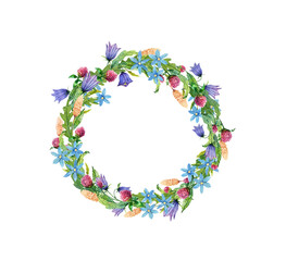 Wildflowers watercolor wreath. Hand painted clover, campanula, chamomile, ears and leaves.