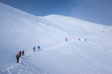 Ciucas mountains in winter, Romanian Carpathians. Fir trees and junipers full of frozen snow. There are hikers in the image.