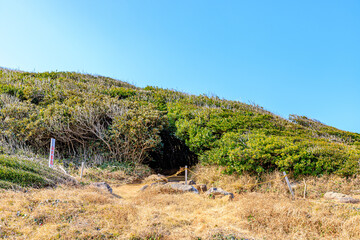 冬のトトロの森　芥屋の大門公園　福岡県糸島市　Totoro's Forest in Winter. Keyanooto Park. Fukuoka-ken Itoshima city