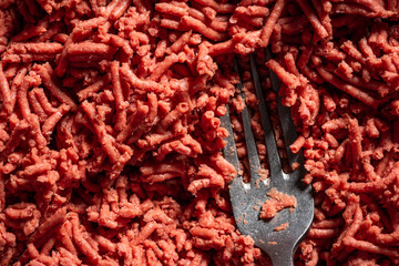 Plant mince meat alternative for vegetarians