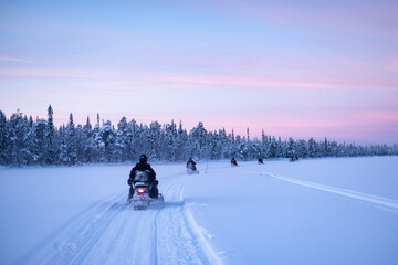 Snowmobiling on the frozen lake at sunset at Torassieppi, Lapland, Finland - obrazy, fototapety, plakaty