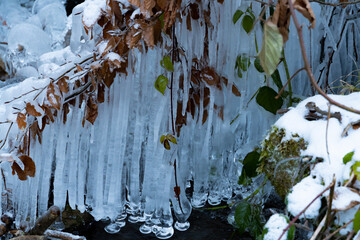 Icicles, frost, winter.
