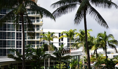 Fototapeta na wymiar Strassenszene in Miami Beach am Atlantik, Florida