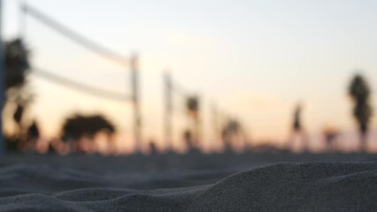 Players playing volleyball on beach court, volley ball game with ball and net, sunset palm trees silhouette, California coast, USA. Defocused people on sandy ocean shore. Seamless looped cinemagraph.