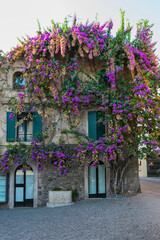 Fototapeta na wymiar Hausfassade mit bunten Bougainville- Blumen in Sirmenione am Gardasee
