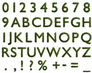 grassy alphabet set fresh green grass letters isolated white background
