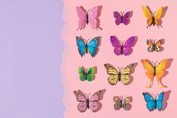 Spring creative layout with colorful butterflies  on pastel pink torn paper and purple background....