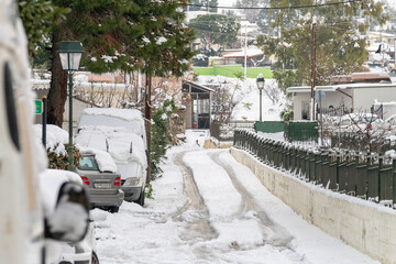 Next day of Elpis nature rare phenomenon with snow everywhere.