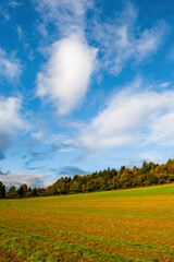 Fields in Guildford, Surrey, England, United Kingdom, Europe