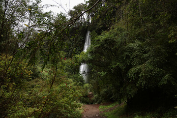 Fototapeta na wymiar The Tocoihue waterfall in Chiloe Island, Chile