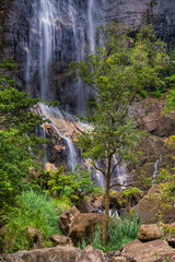 Bambarakanda Falls, a waterfall near Haputale, Sri Lanka Hill Country, Nuwara Eliya District, Asia