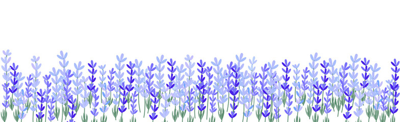 Lavender flowers on white banner 