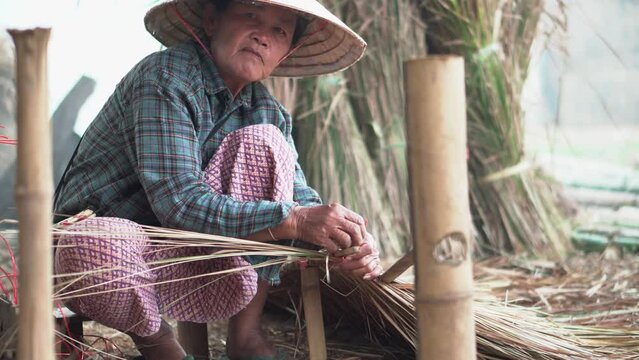 Asia life old femen  grandmother working in outdoor.
Old lady elderly serious living in the countryside of life rural people in thailand . Weaving material grass roof groof bamboo mak
