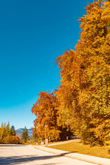 Beautiful alpine autumn or indian summer view near Berchtesgaden, Bavaria, Germany