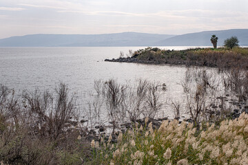 View of the Sea of Galilee and the Golan Heights in the east as seen from the trail along the western coast of the lake, Lake Kinneret, Galilee, Israel