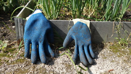 Blue work gloves in the garden