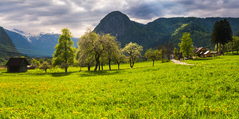 Typical Slovenia countryside between Lake Bled and Lake Bohinj, Triglav National Park, Julian Alps, Slovenia, Europe