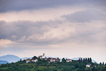 Vineyards surrounding the hill top town of Gornje Cerovo, Goriska Brda, Slovenia, Europe - obrazy, fototapety, plakaty