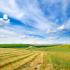 Scenic landscape of a large field.
