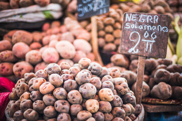 Potato market stall at San Camilo Market (Mercado San Camilo), Arequipa, Peru, South America