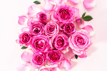 Pink roses