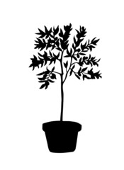 Line art of olive tree branch. On white background.