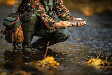Close-up view of the hands of a fly fisherman holding a lovely trout while  fly fishing on a splendid mountain river - obrazy, fototapety, plakaty