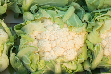 Traditional market that takes place every Tuesday in Plasencia.