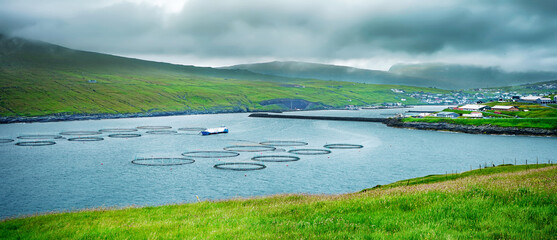 Salmon farming near the Village of Sandavagur located on the island of Vagar, Faroe Islands, Denmark. - obrazy, fototapety, plakaty