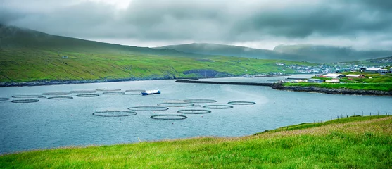 Foto op Canvas Salmon farming near the Village of Sandavagur located on the island of Vagar, Faroe Islands, Denmark. © Shootdiem
