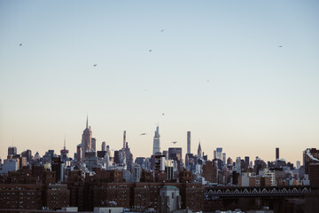New York City views 