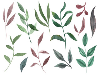 Set of watercolor leaves. Tender and cute branches. Elements for wedding invitations. Red and green leaves.