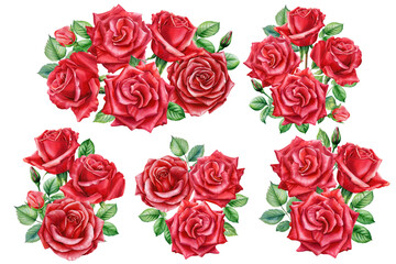 Fototapeta premium bouquet red rose, beautiful flower on an isolated white background, watercolor botanical painting, floral design