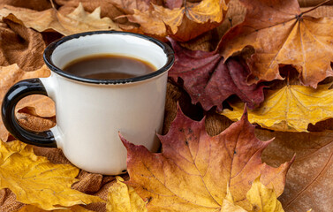 cup of coffee on the background of yellow maple leaves