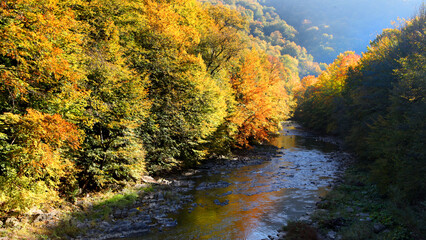 Obraz premium autumn in the mountains