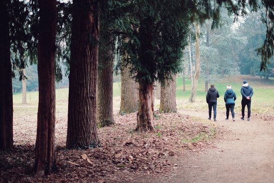 Persone passeggiano nel boschetto del parco tra gli alberi