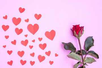 Fototapeta na wymiar Red heart papercut and red rose on pink background