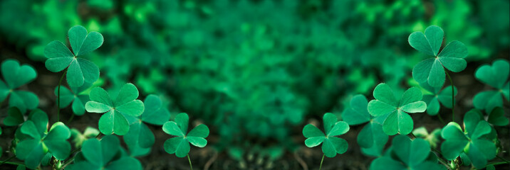 Green background with three-leaved shamrocks, Lucky Irish Four Leaf Clover in the Field for St. Patricks Day holiday symbol. with three-leaved shamrocks, St. Patrick's day holiday symbol, earth day. - obrazy, fototapety, plakaty